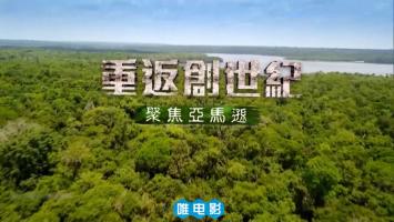 [东森新闻HD]《重返创世纪——聚焦亚马逊》1080P/MP4 国语中字 百度网盘/微云下载 在线点播