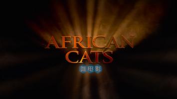 迪士尼自然《非洲大猫 African Cats》蓝光/超清1080P/MKV 外挂中文 百度网盘/微云下载
