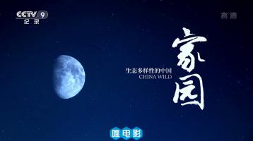 央视大型纪录片《家园 生态多样性的中国 (2018)》全5集 1080P/MP4* 百度网盘下载