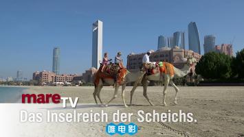 纪录片《阿布扎比 – 酋长的岛国》1080P/MP4 英文无字 百度网盘下载 在线点播