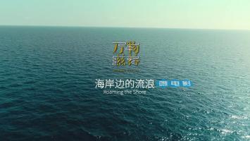 2018全新纪录片《万物滋养》全6集 超清1080P 百度网盘下载