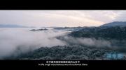 纪录片《最美中国 第一季》全26集 超清1080P 百度网盘 微云下载