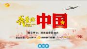 [湖南卫视]《我爱你，中国》第一季 全七集 1080P/TS 百度网盘下载