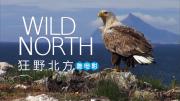自然《狂野北方 Wild North》高清1080P 双语字幕 百度网盘下载