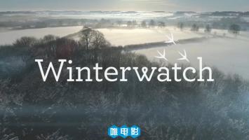 [BBC]《冬日物语 2018》全4集 1080P 英语无字 百度网盘 电驴下载*