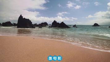 [4K素材]马达加斯加 大海 雨林 植物 极清 20M码率