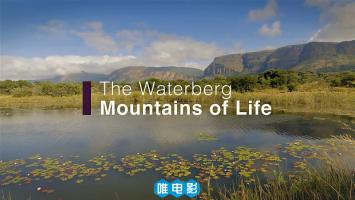 BBC地平线《非洲狂野》 第一季 全6集 超清1080P 英语外挂英文字幕