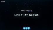 [BBC]《生命之光》全1集 1080P/MKV 内嵌中文字幕 百度网盘/磁力/电驴下载