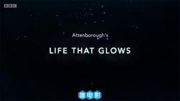 [BBC]《生命之光》全1集 1080P/MKV 内嵌中文字幕 百度网盘/磁力/电驴下载