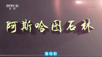 央视纪录片《阿斯哈图石林》全2集 1080P/MP4 百度网盘下载 在线点播
