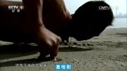 [CCTV]《寻找武穆遗书》全3集 1080P MP4 百度网盘下载