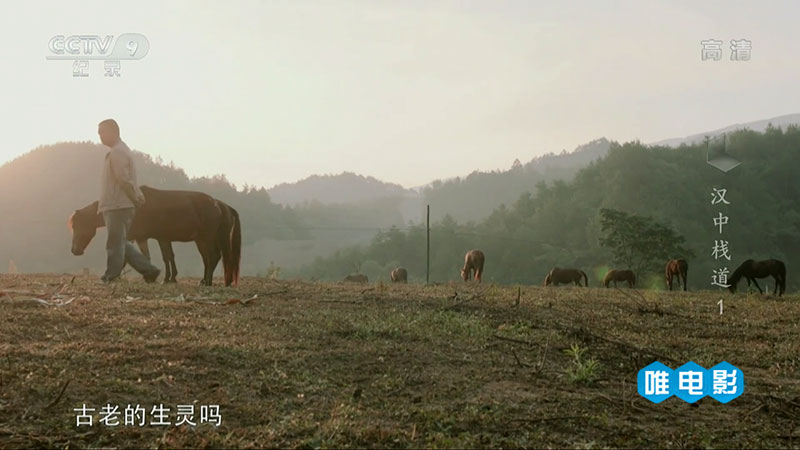 人文历史纪录片《汉中栈道》