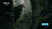 [CCTV]《洞天 (2018)》探索类纪录片 全1集 超清1080P 百度网盘下载