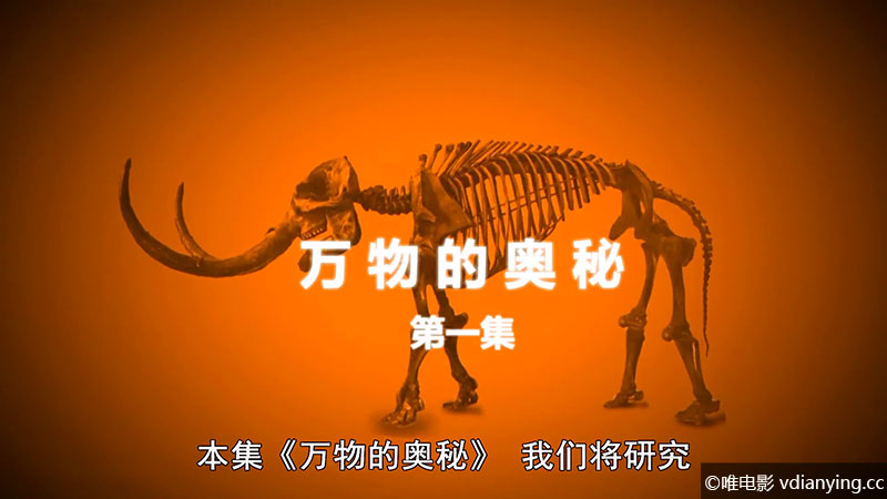 《万物的奥秘 (2012)》 全6集