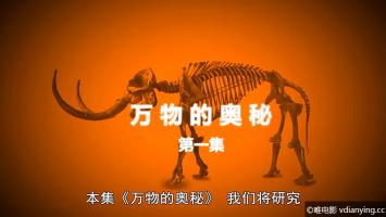 [BBC]《万物的奥秘 (2012)》 全6集 超清1080P/MP4 英语内嵌中文字幕 百度网盘下载