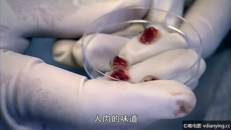 《万物的奥秘 (2012)》 全6集