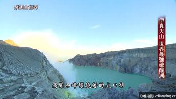 [东森]《人类禁区》全1集 国语中文字幕 1080P/MP4压制 百度网盘下载