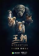 [BBC]《王朝 Dynasties (2018)》超清1080P/MKV 内嵌中文字幕 全5集