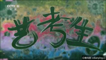 [CCTV]《艺考生(2018)》全2集 1080P/MP4压制 网盘/迅雷下载
