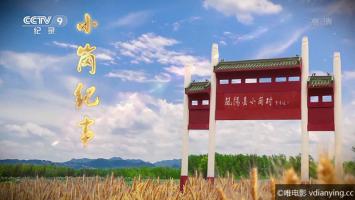 [CCTV]《小岗纪事》全4集 高清1080P/MP4 网盘下载
