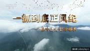 央视《一抓到底正风纪——秦岭违建整治始末》全1集 高清专题片 网盘下载