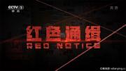 央视专题片《红色通缉》全5集 高清1080P/MP4压制 网盘下载