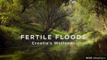 《克罗地亚的秘密天堂》全程无水印无字幕