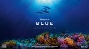 Disney | 《蓝色海洋(2018)》蓝光1080P版