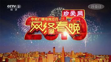 央视2019网络春晚1080P录制版