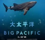 推荐 |《大太平洋》2160P极清4K画质为您奉献