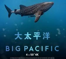 推荐 |《大太平洋》2160P极清4K画质为您奉献