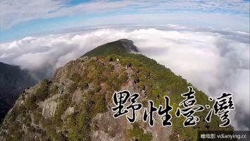 纪录片《野性台湾省》高清1080P 国语中字