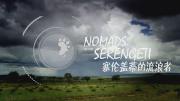 NG | 塞伦盖蒂的流浪者 全5集 1080P 中文字幕