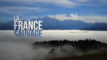 国配《野性法国(2012)》蓝光1080P