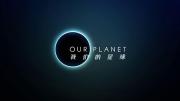 NF |《我们的星球(2019)》全8集 超清1080P 中英字幕