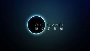 NF |《我们的星球(2019)》全8集 超清1080P 中英字幕
