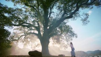 央视清明主题公益广告《记忆篇》