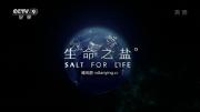 央视 |《生命之盐》全6集 高清1080P