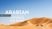 央视引进 |《炙热阿拉伯》全5集 超清1080P 国语