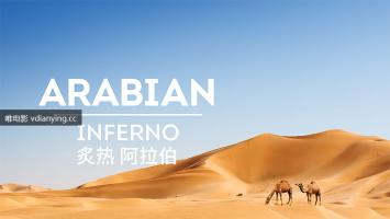 央视引进 |《炙热阿拉伯》全5集 超清1080P 国语