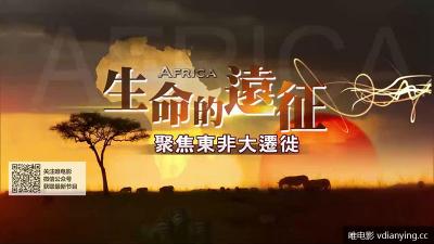 EBC |《聚焦东非大迁徙》全1集 高清1080P